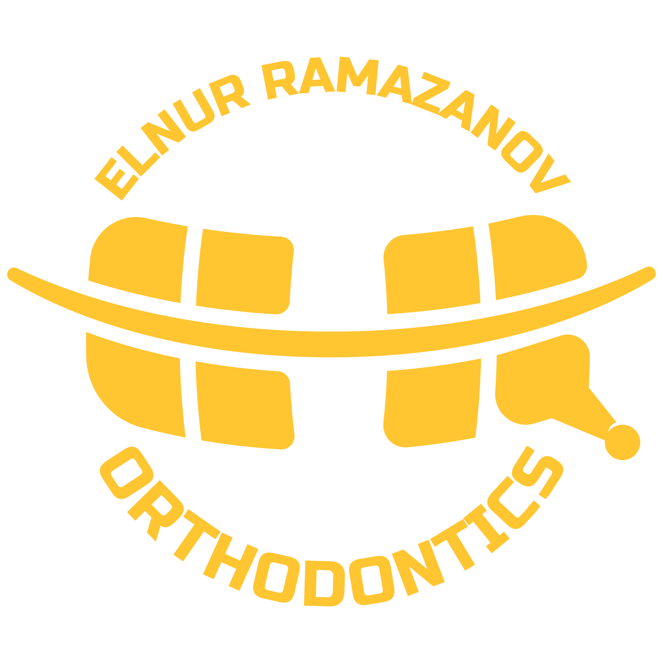 elnur ramazanov logo-01